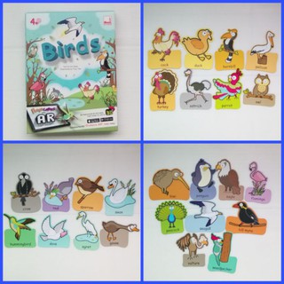 Birds Birds AR Cards