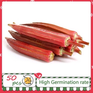 HGG Red Okra Seeds Vegetable Seeds Family Table Essentials Healthy Nutrition儿童/内裤/花园/种子/芹菜/向日葵/园艺/手链/生菜/母婴/ JYPU