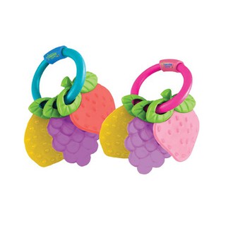 The First Year- ยางกัดผลไม้(Fruity Teethers)