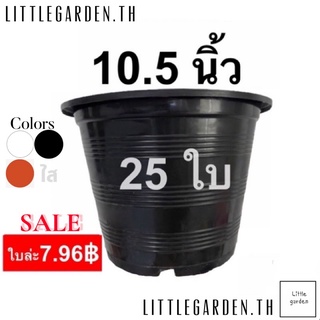 Little กระถาง 10.5 นิ้ว 25 ใบ สีดำ สีขาว สีอิฐ สีใส 10 นิ้ว