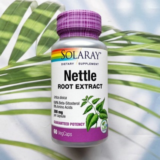 สารสกัดจากรากตำแย Nettle Root Extract 300 mg 60 VegCaps (Solaray®) รากเน็ทเทิ่ลสกัด