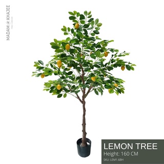 Lemon Tree - Height 160 cm ต้นเลม่อน ความสูง 160 ซม.ต้นไม้ปลอมเกรดพรีเมี่ยมเพื่อการตกแต่ง