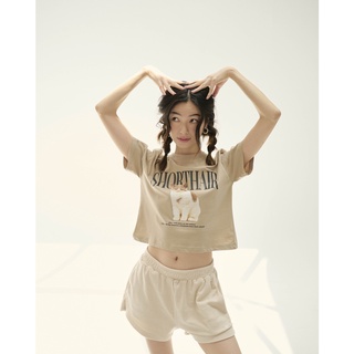 HAY / CROP TOP เสื้อครอป น่ารักสุดๆ