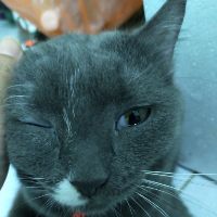 Profile NoName