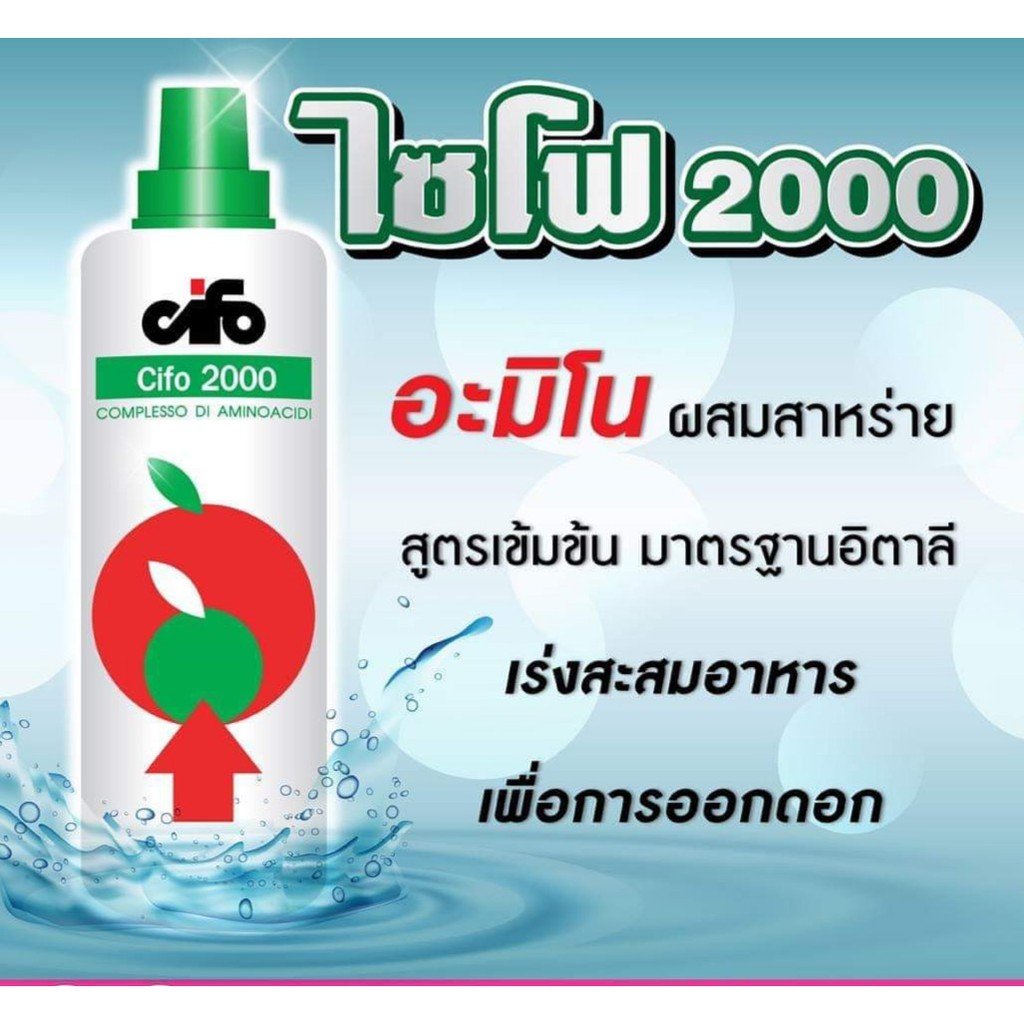 Cifo 2000 สารกระตุ้นการเจริญเติบโตของพืช สำหรับใช้สะสมอาหารและกระตุ้นการออกดอก อีกทั้งเร่งให้พืชโตเร