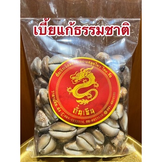 เบี้ยแก้ หอยเบี้ยแก้ เบี้ยธรรมชาติขายเป็นตัวๆละ10บาท