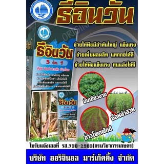 ธีอินวัน( 3 in 1 )ครบสูตรบำรุง สำหรับ อ้อย มันสำปะหลัง ข้าวโพด ฮอร์โมนพืช ธาตุอาหารรอง เร่งต้น โตไว ใบเขียว แข็งแรง