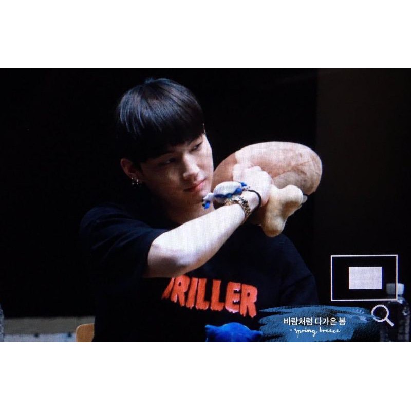 [ พร้อมส่ง​ ]​ หมอนน่องไก่​ JB​ GOT7​