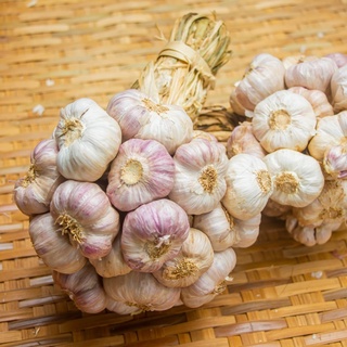 กระเทียมไทยกลีบม่วง ศรีสะเกษ 500 กรัม ครึ่งกิโลกรัม คัดพิเศษThai Garlic : 500 g