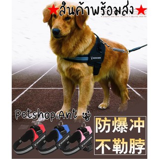 🐶 PSA 🐶 สายจูงสุนัข สายจูงหมา พันธุ์กลาง-ใหญ่ สายรัดอก