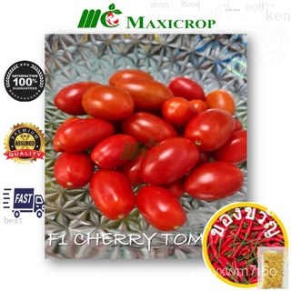 Premium F1 Cherry Tomato Seeds ที่มีคุณภาพสูง F1 เชอร์รี่มะเขือเทศเมล็ด Biji Tomato Ceri F1 Premiumสร้อยข้อมือ/บ้านและสว