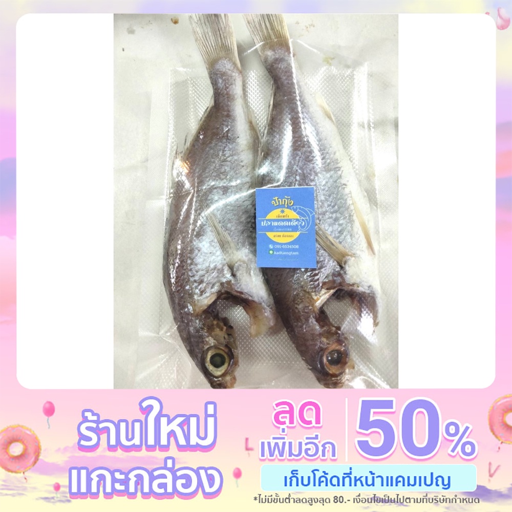 ปลาแดดเดียว (ปลาจวด)