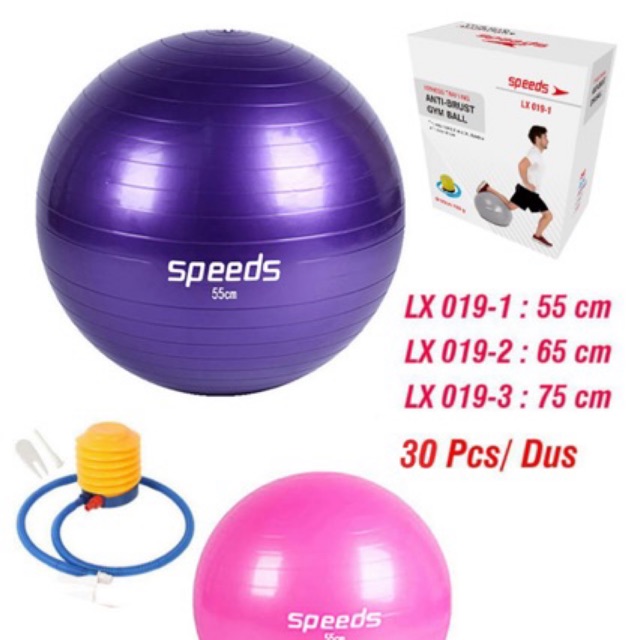 Gymball/Gym Ball ความเร็วโยคะ 55 Cm/65Cm ฟรีปั๊มขายส่ง