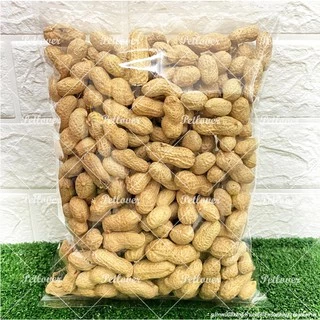 ถั่วลิสง Peanut เกรดA นำเข้า อาหารนกแก้ว อาหารหนูแฮมสเตอร์ และสัตว์ฟันแทะ (แบ่งขาย 500G / 1KG)