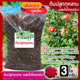 ดินปลูกกุหลาบ ผสมไตโคเดอร์มา🌹 3 Kg มีอินทรีย์วัตถุสูง ระบายน้ำได้ดี มีธาตุอาหารในดิน ดินปลูกกุหลาบ และต้นไม้อื่นทุกชนิด