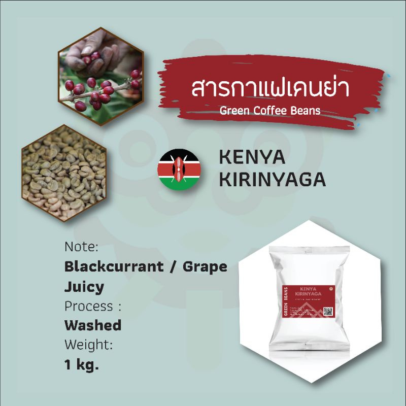 สารกาแฟเคนย่า คิรินยากา  Kenya Kirinyaga Green Coffee Beans [พร้อมส่ง]