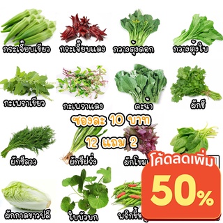 เมล็ดพันธุ์ผักสวนครัว 10 บาท 12แถม2