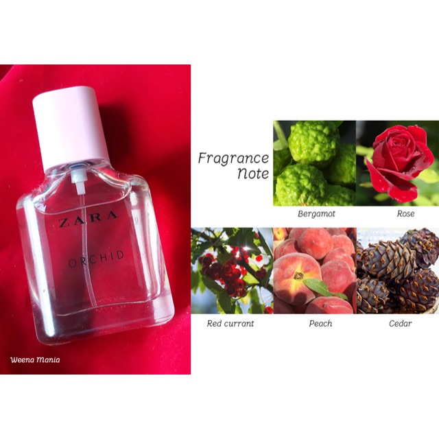 Zara orchid 100 ml EDP