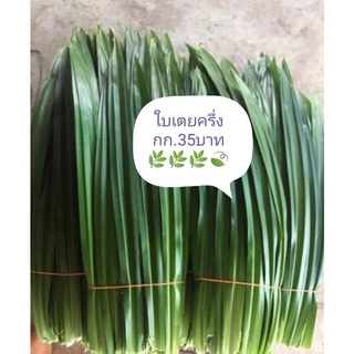 ใบเตยหอมครึ่งกก.35บาท