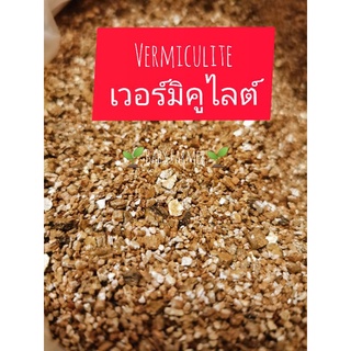 🌱เวอร์มิคูไลท์​ 🌱 วัสดุปลูก​อย่างดี อุดมไปด้วยแร่ธาตุที่จำเป็นต่อต้นไม้