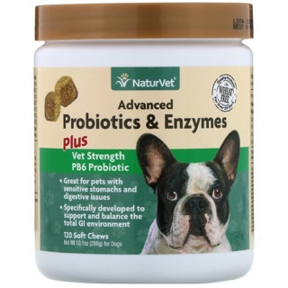 พร้อมส่ง ปรับระบบย่อย ท้องเสีย โพรไบโอติก สุนัข Advanced Probiotics and Enzymes Plus Vet Strength PB6 Naturvet petnc