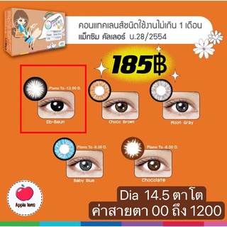 MAXIM Contact Lens  ตาโต กล่องส้ม สีดำ Eb- Beun Dia 14.5 คอนแทคเลนส์สี (กล่องส้ม)