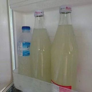 ลูกแป้งสาโท เชื้อสาโท ราคาส่ง 6 ลูก 30 บาท