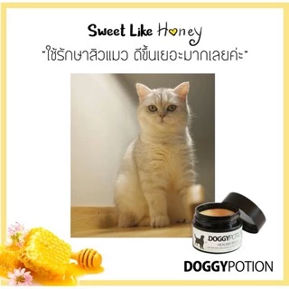 Doggy Potion Healing Balm ขนาด 20g