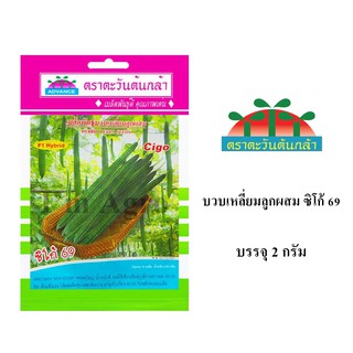 เมล็ดพันธุ์ บวบเหลี่ยมลูกผสม ซิโก้ บรรจุ  กรัม/ซอง ตราตะวันต้นกล้า50 เมล็ด (ไม่ใช่พืชที่มีชีวิต)