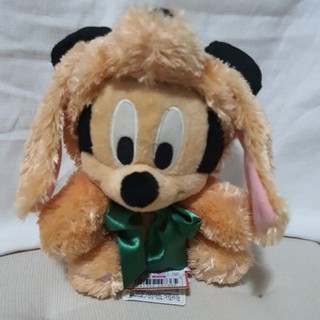 mickey mouse fox with hood