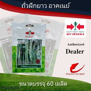 เมล็ดพันธุ์ ผักซองศรแดงถั่วฝักยาวอาคเนย์