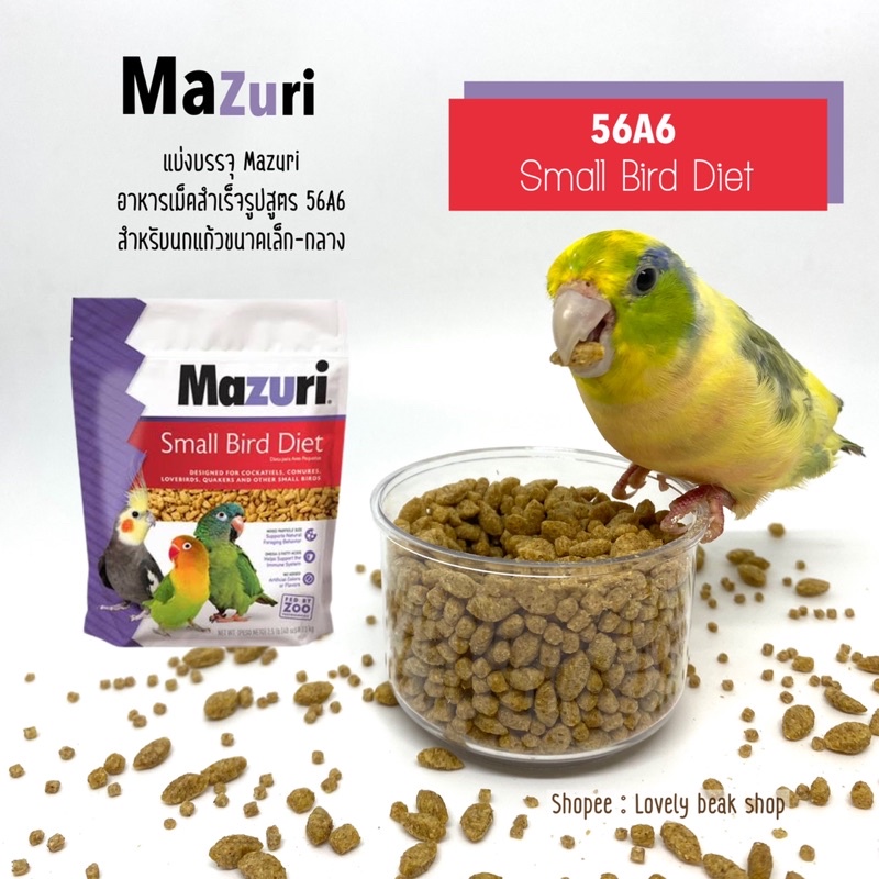 Mazuri 56A6 อาหารนกสำเร็จรูป มาซูริ สำหรับนกแก้วขนาดเล็ก-กลาง ฟอพัส เลิฟเบิร์ด ค็อกคาเทล คอนัวร์