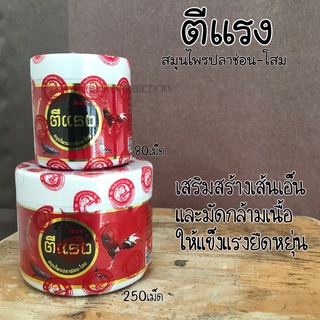 ตีแรง สมุนไพรปลาช่อน-โสม (ขนาดเล็ก 80เม็ด) สำหรับไก่ชน