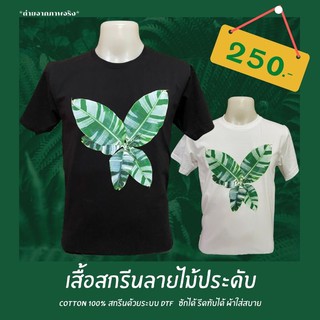 เสื้อ กล้วยด่างฟลอริด้า ไม้ประดับ สุดฮิต