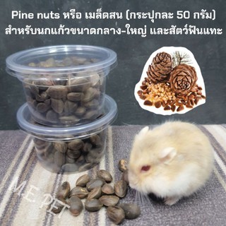 ถั่วเม็ดสน (pie nut) เมล็ดสน อาหารว่างสำหรับนกแก้วขนาดกลาง-ใหญ่ และสัตว์ฟันแทะต่างๆ (50กรัม)