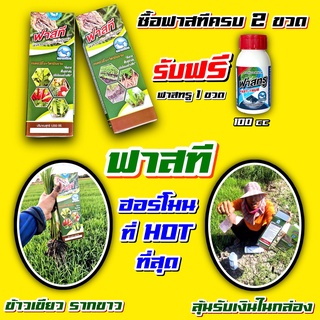 ฟาสที 1 ลิตร ซื้อ 2 ขวดแถมจับใบ 1 ขวด 💥 ฮอร์โมนสูตรเข้มข้น เร่งราก บำรุงราก บำรุงดิน หน่อเขียว รากขาว เร่งต้น แตกยอด บำรุงใบ แตกกอ กระตุ้นราก แก้ปัญหาดินเสีย ใบเงาสด ฟื้นฟูต้นโทรม # ฮิมมิค B1 ไร่เทพ ลั่นทุ่ง 4tree บอนสี กระท่อม ไม้ดอก ไม้ประดับ ข้าว