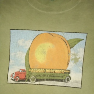 เสื้อยืด Usa เสื้อวง The Allman Brothers Band #ลายปกอัลบั้ม  19/27