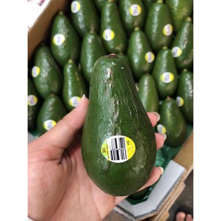 🥑อโวคาโด้🥑ออสเตรเลีย 🇦🇺 เข้าใหม่สดๆ พร้อมส่ง