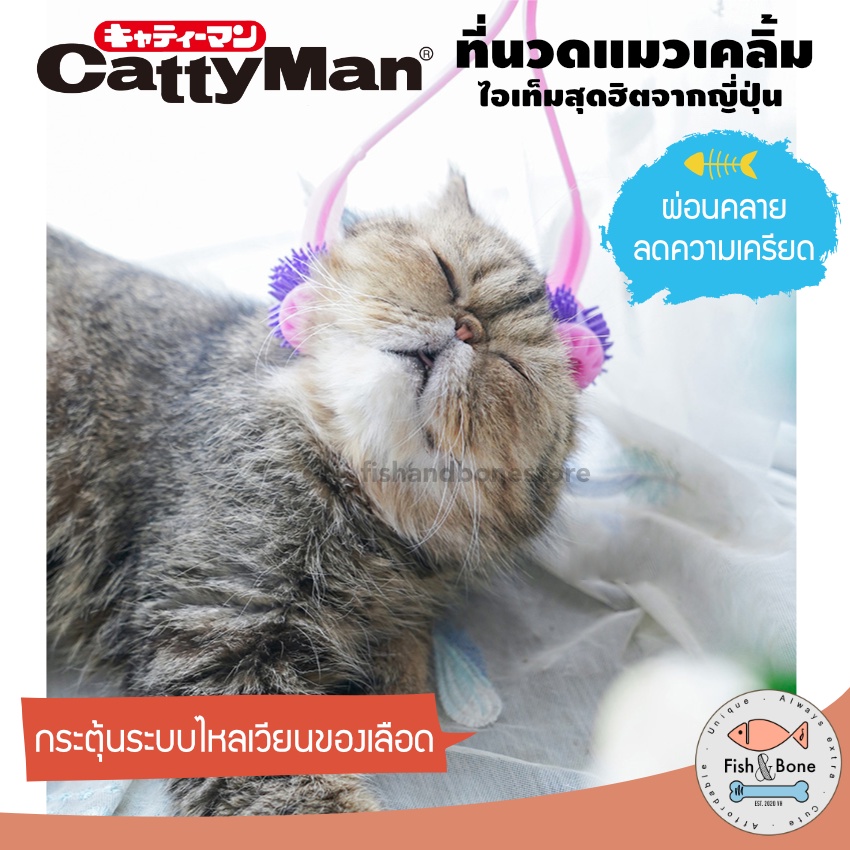   ของแท้    Cattyman ที่นวดแมว สุดฮิตจากญี่ปุ่น เครื่องนวดแมว ของเล่นแมว