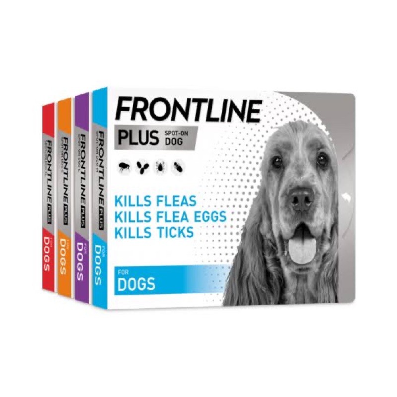 frontline plus หมา แมว frontline tri-act