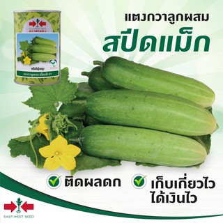 เมล็ดพันธุ์ แตงกวาลูกผสม🥒 สปีดแม็ก 🥒 ขนาด 100 กรัม