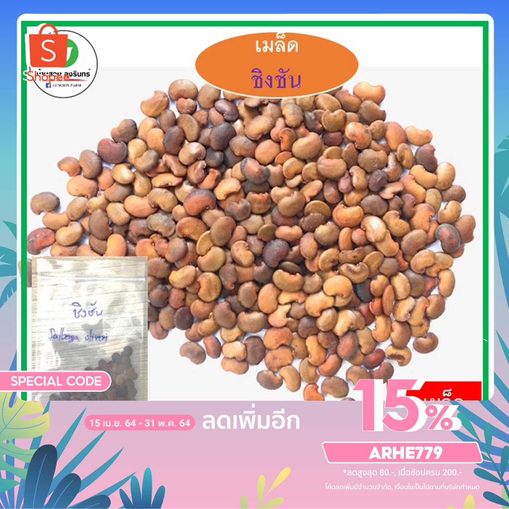 เมล็ดชิงชัน เมล็ดพันธุ์ไม้ชิงชัน ไม้เศรษฐกิจ หายาก แก่นสวย ราคาแพง (50 เมล็ด)