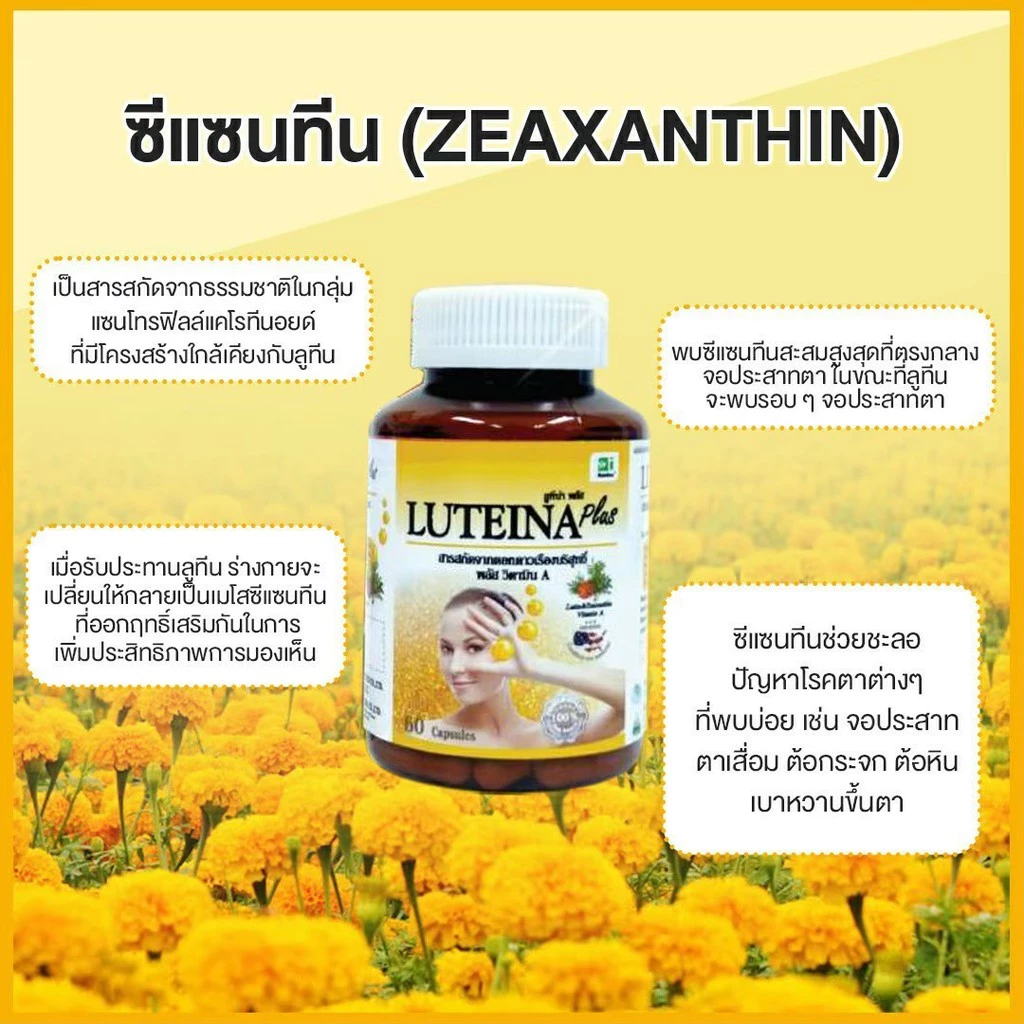 ลูทีน่าพลัส สูตรใหม่ (3 กระปุก) Luteina Plus เพิ่มวิตามินเอ บำรุงดวงตา บำรุงสายตา ฟรีแว่นตากรองแสง จัดส่งฟรี thumbnail 8