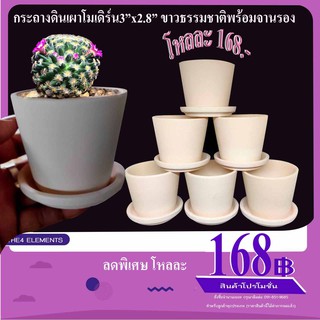 กระถาง3"โมเดิร์นสีขาว โหลละ168 พร้อมจานรอง