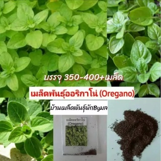 เมล็ดพันธุ์ สมุนไพรฝรั่งจัดชุด4ชนิด เสจ Sage ออริกาโน Origano มาร์จอแรม Marjoram ไทม์ Thyme