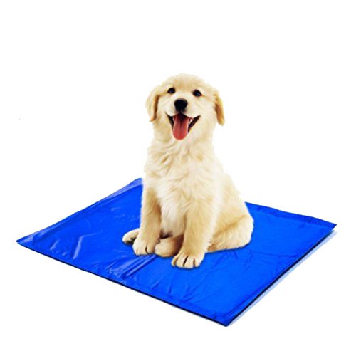 เจลเย็นสัตวเลี้ยง แผ่นที่นอนเจลเย็น กลาง (M) PM-700