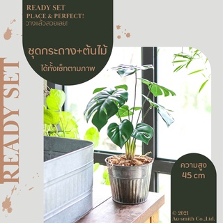 Mellow Set-Monstera ต้นมอนสเตอร่า ชุด เซท เซ็ทพร้อมโชว์ ของตกแต่งบ้าน ต้นไม้ปลอม พร้อมกระถางสังกะสีลายพลีท ราคาต่อ 1 ชุด