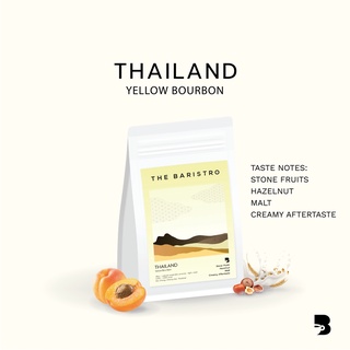 เมล็ดกาแฟ คั่วอ่อน - Thailand Yellow Bourbon