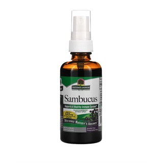 Natures Answer Sambucus Black Elderberry Extract Spray Alcohol-Free 2 fl oz (60 ml)