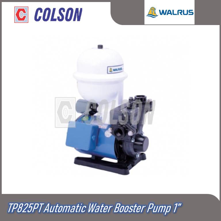 COLSON WALRUS TP825PT ปั๊มบูสเตอร์อัตโนมัติ 375W 1" ปั๊มน้ํา Walrus TP 825 PT ปั๊มน้ําอัตโนมัติ